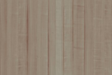 dişbudak ağaç ağaç yapısı doku arka plan yüzey duvar kağıdı