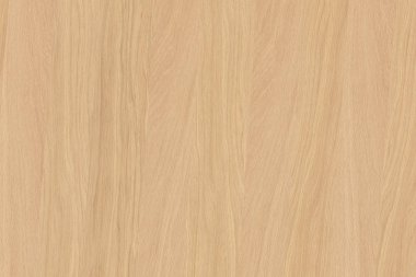 dişbudak ağaç ağaç yapısı doku arka plan yüzey duvar kağıdı