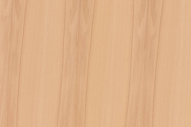 dişbudak ağaç ağaç yapısı doku arka plan yüzey duvar kağıdı