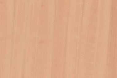 dişbudak ağaç ağaç yapısı doku arka plan yüzey duvar kağıdı