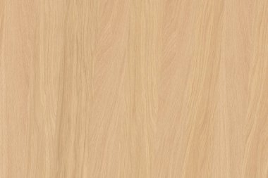 dişbudak ağaç ağaç yapısı doku arka plan yüzey duvar kağıdı