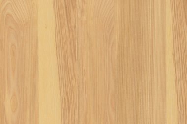 dişbudak ağaç ağaç yapısı doku arka plan yüzey duvar kağıdı