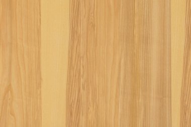 dişbudak ağaç ağaç yapısı doku arka plan yüzey duvar kağıdı