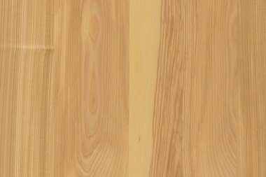 dişbudak ağaç ağaç yapısı doku arka plan yüzey duvar kağıdı