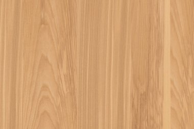 dişbudak ağaç ağaç yapısı doku arka plan yüzey duvar kağıdı