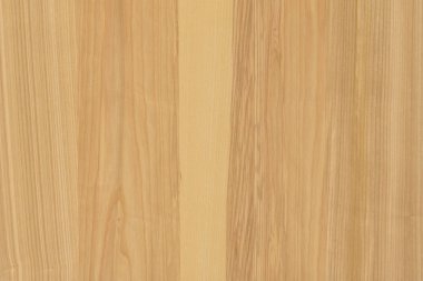 dişbudak ağaç ağaç yapısı doku arka plan yüzey duvar kağıdı