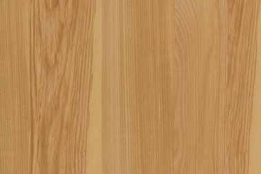 dişbudak ağaç ağaç yapısı doku arka plan yüzey duvar kağıdı