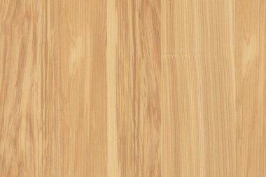 dişbudak ağaç ağaç yapısı doku arka plan yüzey duvar kağıdı