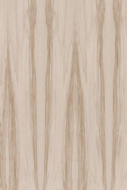 dişbudak ağaç ahşap yapı doku arka plan yüzey duvar kağıdı yüksek boyutu