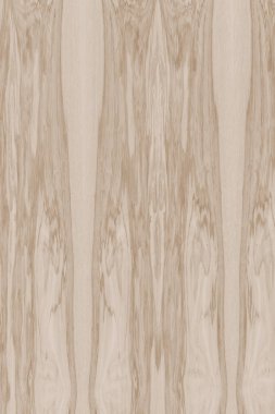 dişbudak ağaç ahşap yapı doku arka plan yüzey duvar kağıdı yüksek boyutu