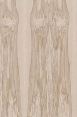 dişbudak ağaç ahşap yapı doku arka plan yüzey duvar kağıdı yüksek boyutu