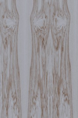 dişbudak ağaç ahşap yapı doku arka plan yüzey duvar kağıdı yüksek boyutu