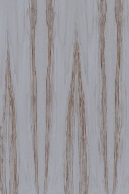 dişbudak ağaç ahşap yapı doku arka plan yüzey duvar kağıdı yüksek boyutu