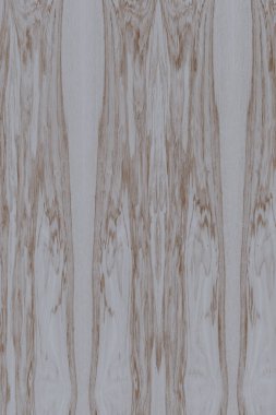 dişbudak ağaç ahşap yapı doku arka plan yüzey duvar kağıdı yüksek boyutu