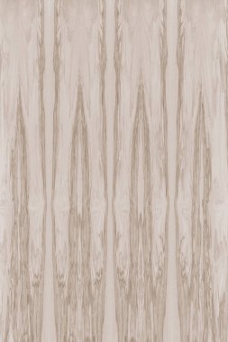 dişbudak ağaç ahşap yapı doku arka plan yüzey duvar kağıdı yüksek boyutu