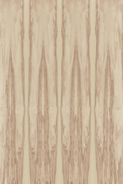 dişbudak ağaç ahşap yapı doku arka plan yüzey duvar kağıdı yüksek boyutu