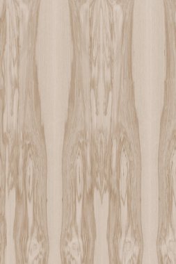 dişbudak ağaç ahşap yapı doku arka plan yüzey duvar kağıdı yüksek boyutu