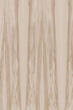 dişbudak ağaç ahşap yapı doku arka plan yüzey duvar kağıdı yüksek boyutu