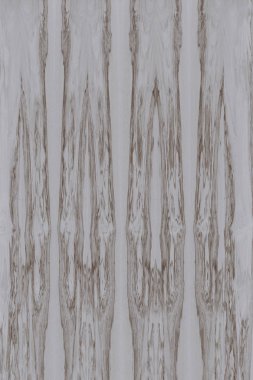 dişbudak ağaç ahşap yapı doku arka plan yüzey duvar kağıdı yüksek boyutu