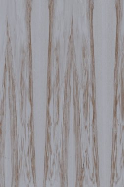 dişbudak ağaç ahşap yapı doku arka plan yüzey duvar kağıdı yüksek boyutu