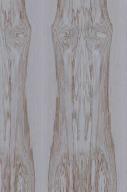 dişbudak ağaç ahşap yapı doku arka plan yüzey duvar kağıdı yüksek boyutu