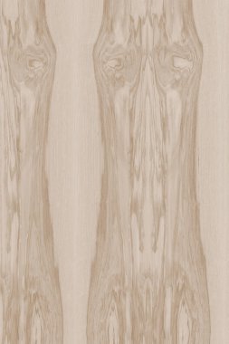 dişbudak ağaç ahşap yapı doku arka plan yüzey duvar kağıdı yüksek boyutu