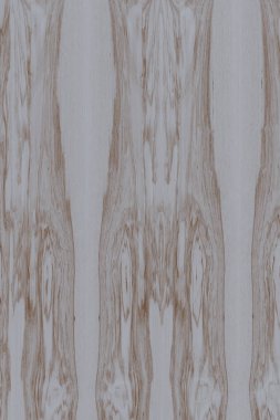 dişbudak ağaç ahşap yapı doku arka plan yüzey duvar kağıdı yüksek boyutu