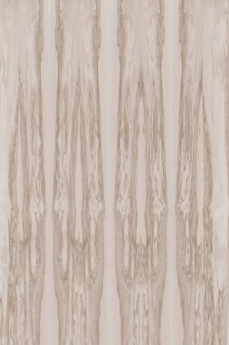 dişbudak ağaç ahşap yapı doku arka plan yüzey duvar kağıdı yüksek boyutu