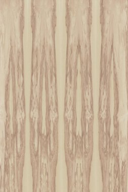 dişbudak ağaç ahşap yapı doku arka plan yüzey duvar kağıdı yüksek boyutu