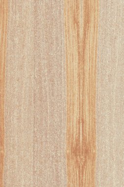 dişbudak ağaç ahşap yapı doku arka plan yüzey duvar kağıdı yüksek boyutu