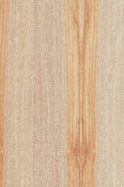 dişbudak ağaç ahşap yapı doku arka plan yüzey duvar kağıdı yüksek boyutu