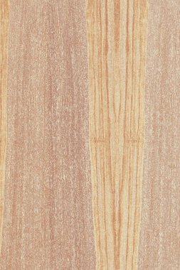 dişbudak ağaç ahşap yapı doku arka plan yüzey duvar kağıdı yüksek boyutu