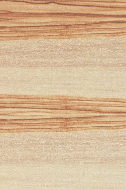 dişbudak ağaç ahşap yapı doku arka plan yüzey duvar kağıdı yüksek boyutu