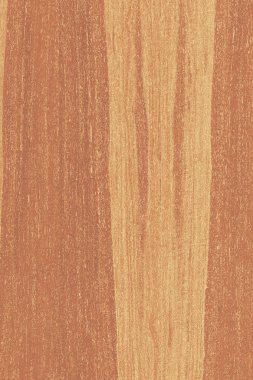 dişbudak ağaç ahşap yapı doku arka plan yüzey duvar kağıdı yüksek boyutu