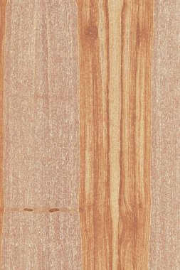 dişbudak ağaç ahşap yapı doku arka plan yüzey duvar kağıdı yüksek boyutu