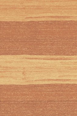 dişbudak ağaç ahşap yapı doku arka plan yüzey duvar kağıdı yüksek boyutu