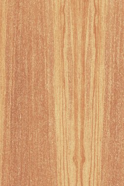 dişbudak ağaç ahşap yapı doku arka plan yüzey duvar kağıdı yüksek boyutu