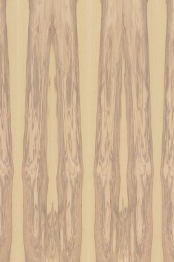 dişbudak ağaç ahşap yapı doku arka plan yüzey duvar kağıdı yüksek boyutu