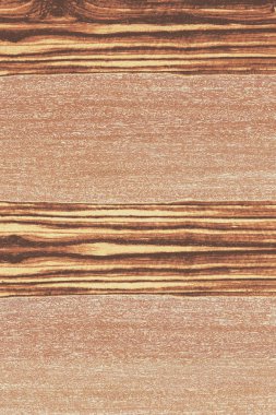dişbudak ağaç ahşap yapı doku arka plan yüzey duvar kağıdı yüksek boyutu