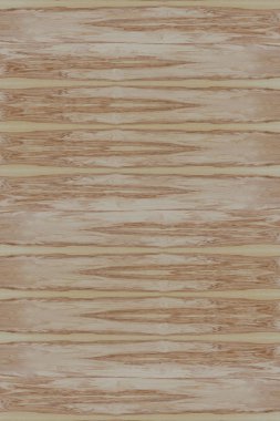 dişbudak ağaç ahşap yapı doku arka plan yüzey duvar kağıdı yüksek boyutu