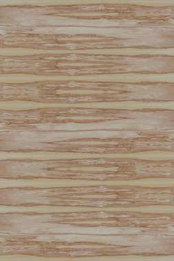 dişbudak ağaç ahşap yapı doku arka plan yüzey duvar kağıdı yüksek boyutu