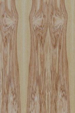 dişbudak ağaç ahşap yapı doku arka plan yüzey duvar kağıdı yüksek boyutu