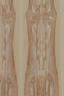 dişbudak ağaç ahşap yapı doku arka plan yüzey duvar kağıdı yüksek boyutu