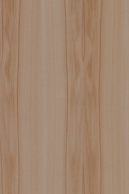 dişbudak ağaç ahşap yapı doku arka plan yüzey duvar kağıdı yüksek boyutu