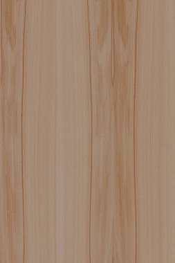 dişbudak ağaç ahşap yapı doku arka plan yüzey duvar kağıdı yüksek boyutu