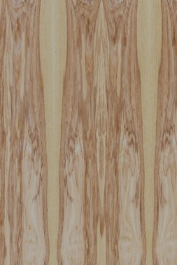 dişbudak ağaç ahşap yapı doku arka plan yüzey duvar kağıdı yüksek boyutu