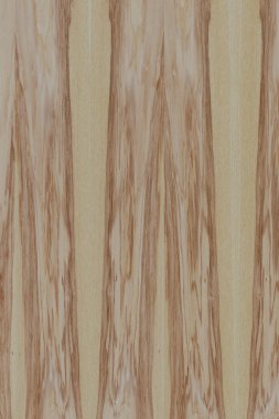 dişbudak ağaç ahşap yapı doku arka plan yüzey duvar kağıdı yüksek boyutu