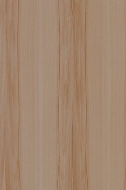 dişbudak ağaç ahşap yapı doku arka plan yüzey duvar kağıdı yüksek boyutu