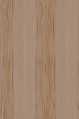 dişbudak ağaç ahşap yapı doku arka plan yüzey duvar kağıdı yüksek boyutu