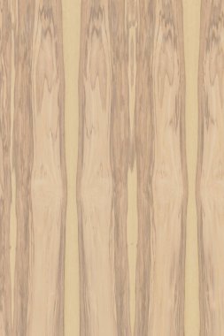 dişbudak ağaç ahşap yapı doku arka plan yüzey duvar kağıdı yüksek boyutu